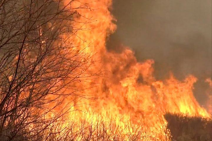 КЭФ: Хакасия и Красноярский край будут вместе выявлять лесные пожары