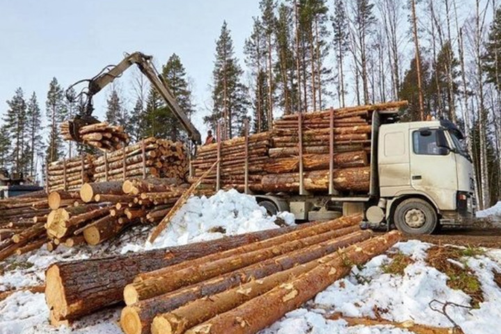 В Хакасии усилят контроль за оборотом леса и ценами, сообщил Сергей Сокол