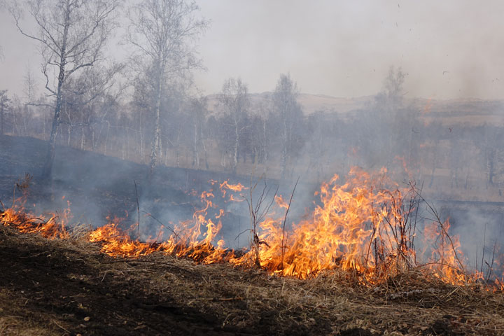 В заповеднике «Хакасский» установлен пожароопасный период