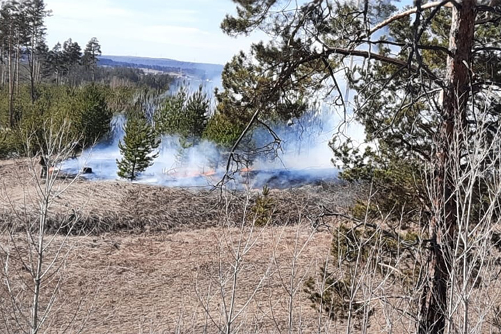 В лесу возле Минусинска отдыхающие устроили пожар