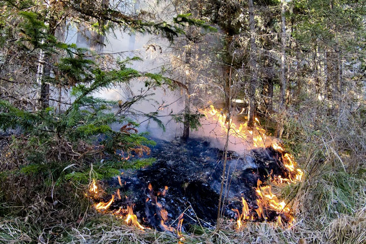 В Туимском лесничестве обнаружен пожар 