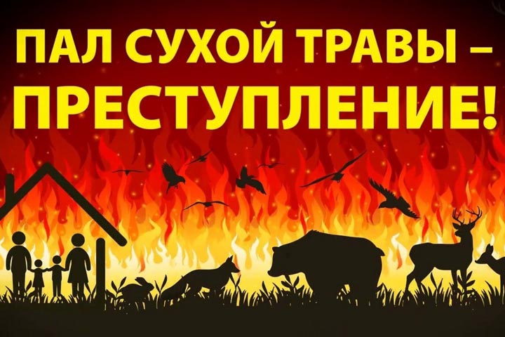 В Хакасии растет количество ландшафтных пожаров