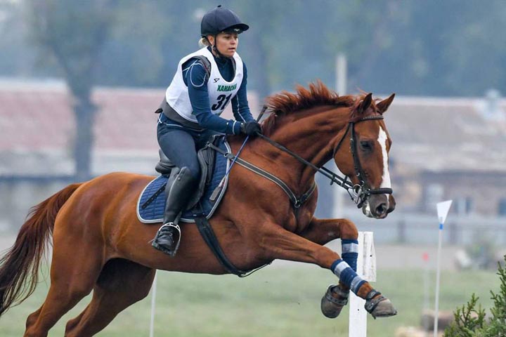 Семинар для судей по конному спорту пройдет в Хакасии
