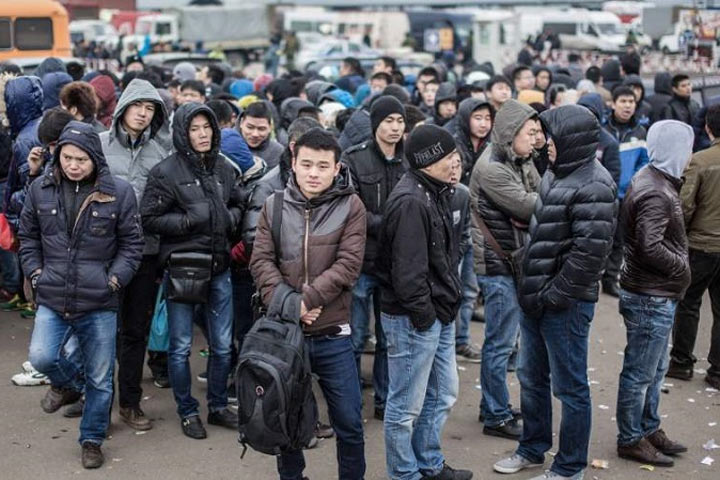 В Петербурге выявили 18 человек, незаконно легализовавшие в РФ более 7 тыс. мигрантов