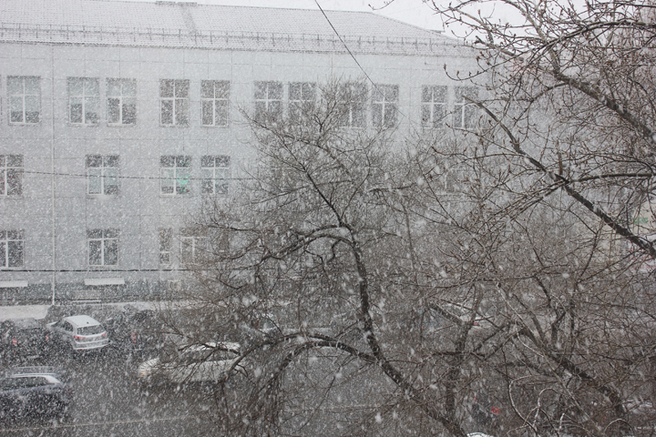 В Хакасии вновь ожидают мокрый снег