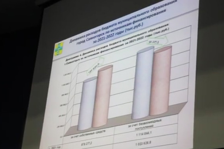 Из-за ошибки налоговиков бюджет Саяногорска стал профицитным