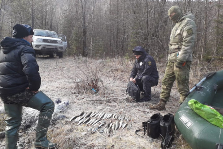 На каких реках Хакасии запрещена рыбалка 