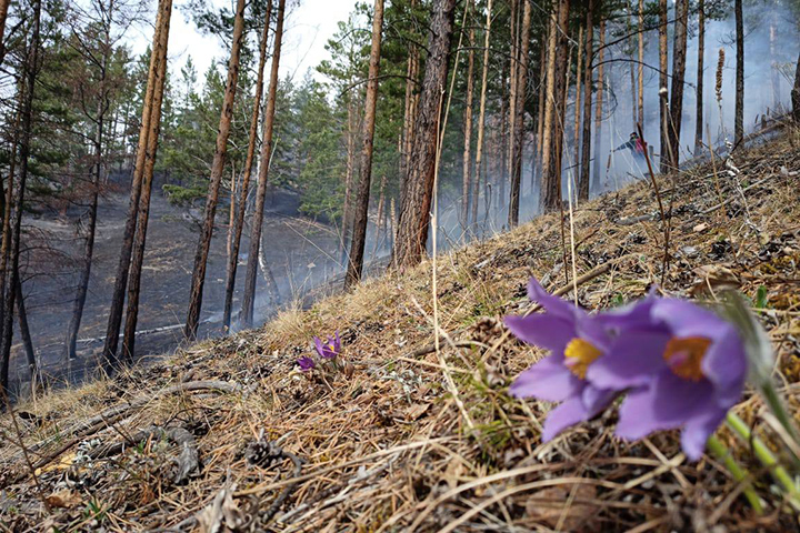 В двух районах Хакасии горит лес