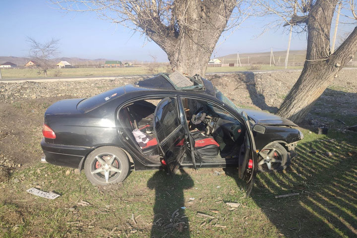 В Аскизе пьяный водитель Toyota Avensis врезался в дерево 