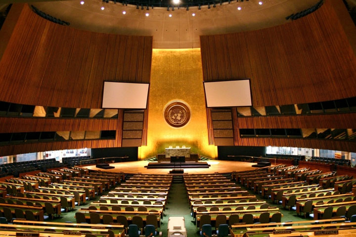 Конгресс США просит исключить Россию из Совбеза ООН