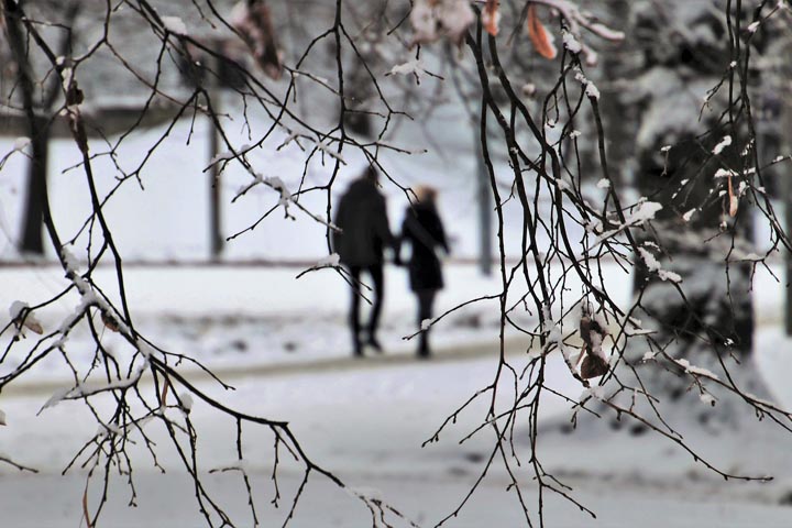 Погода в Хакасии 28 февраля