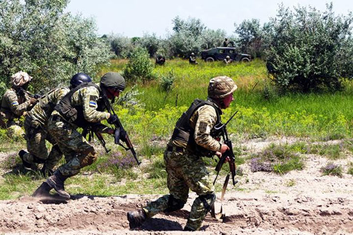 «Влажная» мечта Зеленского: 20 тысяч новых коммандос нападут на Крым