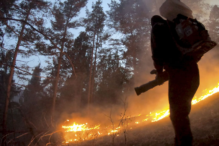 Леса в Хакасии горели 8 раз за неделю 