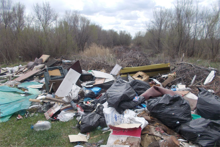 В Хакасии земельный участок заполонили сорняки и мусор