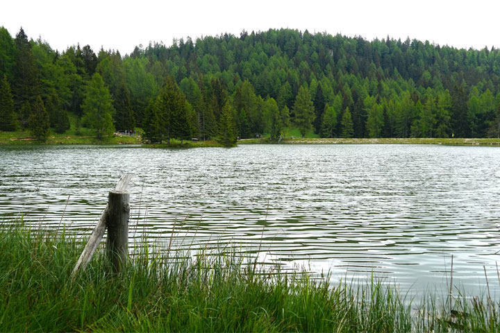 В одном из озер Хакасии нашли кишечную палочку