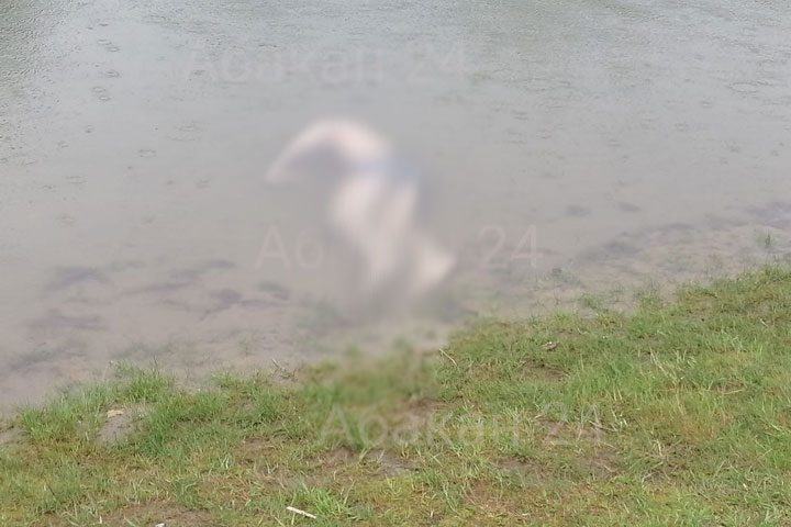 Контрактник из Тюменской области утонул в дрене Абакана 