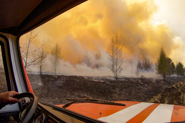 Возле Харачула пожар уничтожил 1,5 гектара леса 