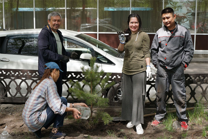 Ко Дню России театр «Читiген» посадил сосновую аллею в Хакасии