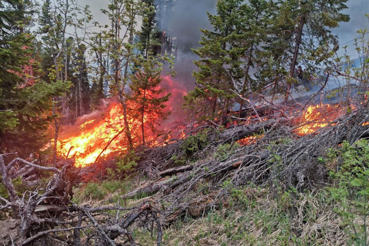 В Хакасии 14 из 15 лесных пожаров возникли из-за гроз 