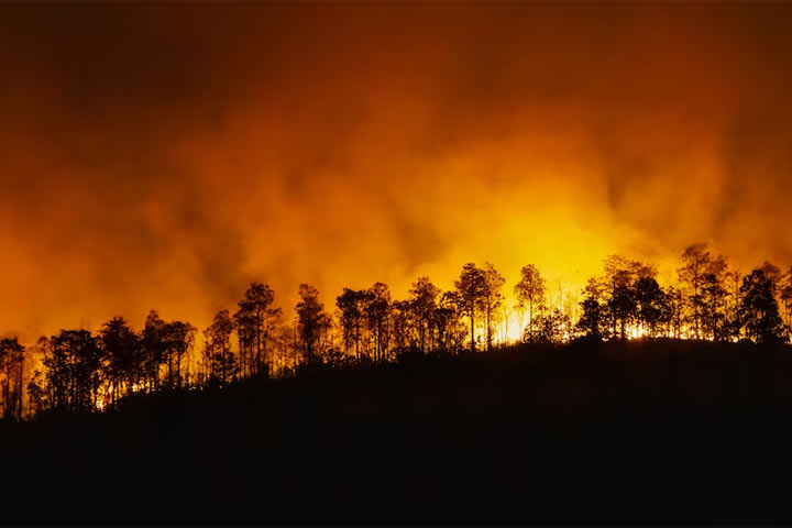 На юге Сибири бушуют лесные пожары
