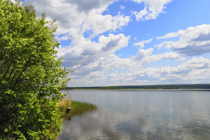 В двух озерах Хакасии нашли кишечную палочку