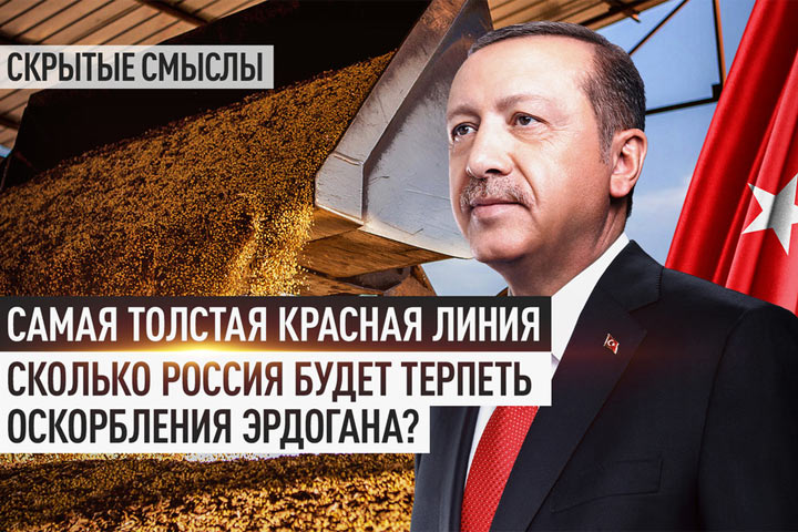 Самая толстая красная линия. Сколько Россия будет терпеть оскорбления Эрдогана?