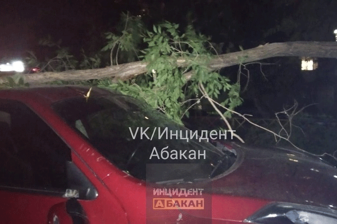 В Абакане на припаркованный автомобиль упала часть дерева
