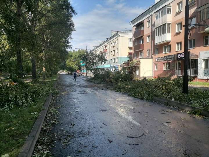 Жителей Абакана позвали навести порядок после стихии