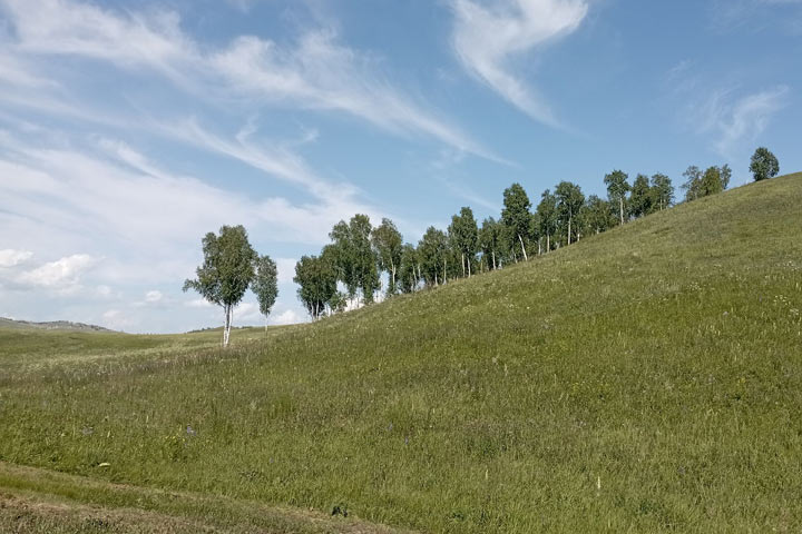 Ветры хакасии. Хакасия погода.