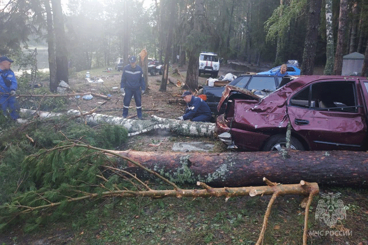 В палаточном лагере погибло семь туристов