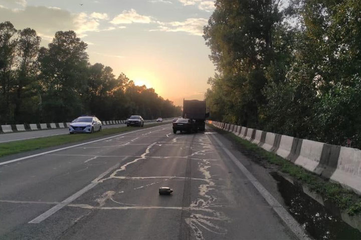 Нетрезвая автоледи спровоцировала в Абакане ДТП