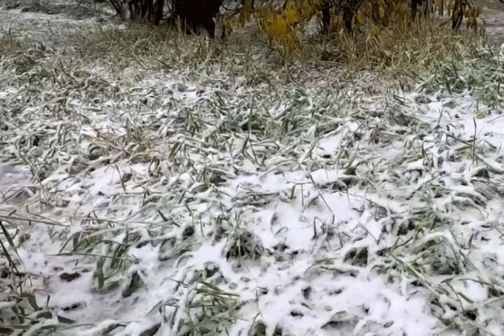 Первый снег выпал в соседнем с Хакасией регионе