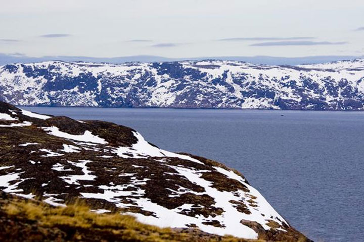 Арктика: Россия хамства терпеть не намерена — и покидает Совет Баренцева региона