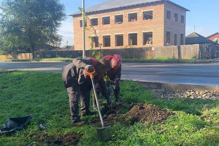 В Абакане обсудили освещение, саженцы и не только 