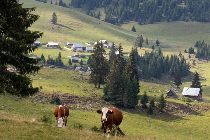 Жителям малых сел Хакасии в 2023 году выплачено более 39 млн рублей 