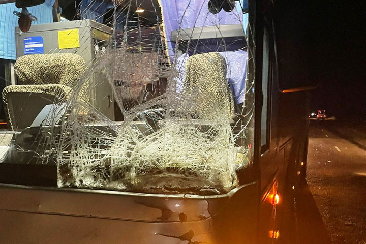 На трассе Абакан - Ак-Довурак абазинский автобус врезался в коня 