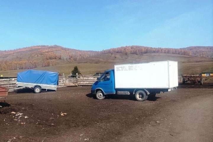 В Верхней Тее водитель «Газели», двигаясь задним ходом, раздавил человека 