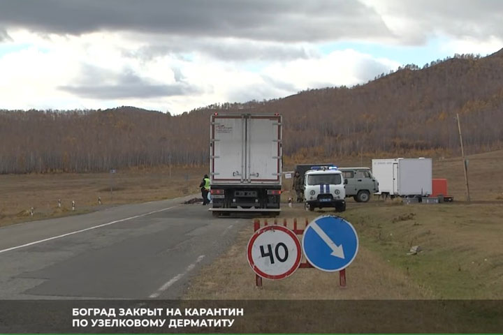 Правительство Хакасии начинает выплаты жителям Бограда за изъятый скот