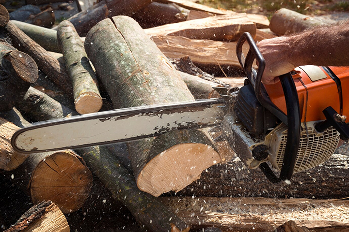 Вдоль дрены в Абакане уберут около 400 кубометров древесины