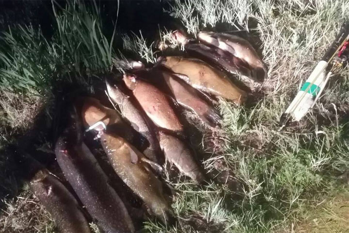За подводную охоту на озере Иткуль браконьеры отработают 160 часов