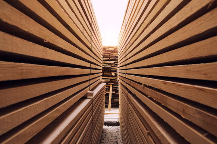Хакасия увеличила экспорт древесины