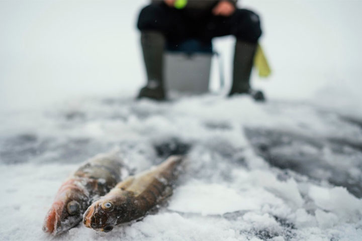Рыбак провалился под лед на Енисее и погиб