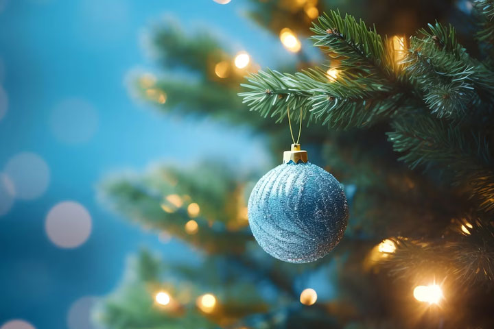 Роспотребнадзор рекомендует: как выбрать новогоднюю елку