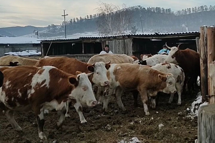 Штаб по ликвидации ЧС: в аале Сапогов будет круглосуточный КПП