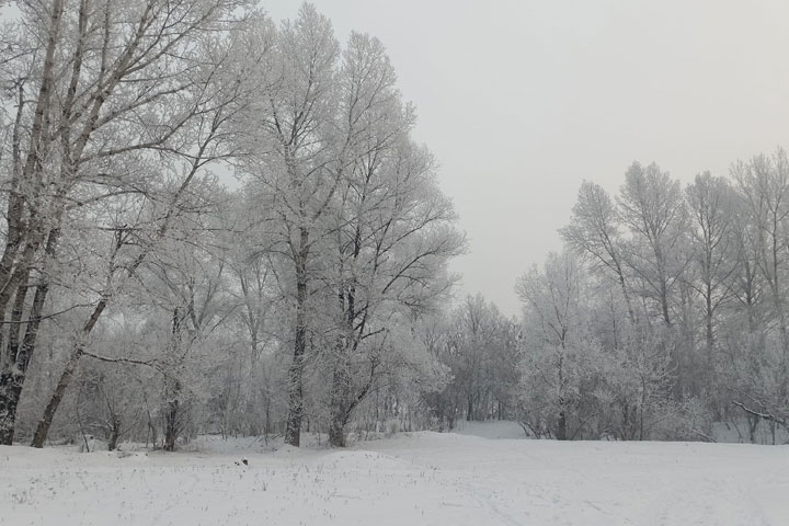 Погода в Хакасии 30 декабря - 1 января