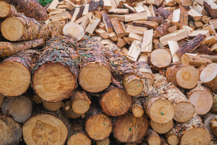 Расходы на дровяное отопление в Хакасии растут: дровишки из леса по несходной цене