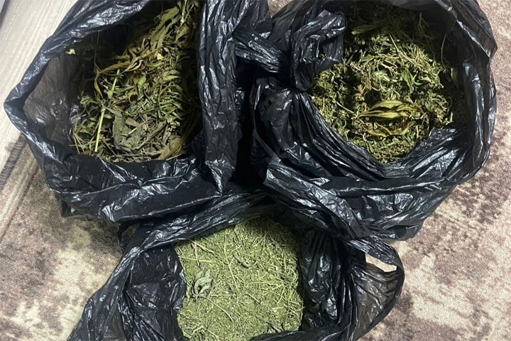 Почти килограмм марихуаны изъяли у жителя Черногорска 
