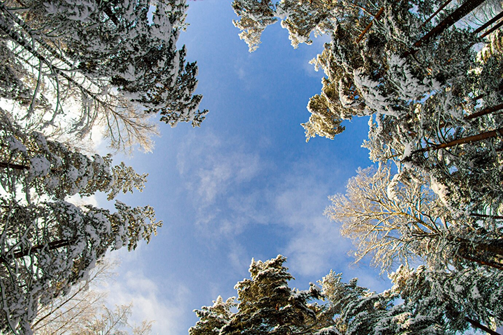 В Хакасии 14 января ждут мороз и ветер