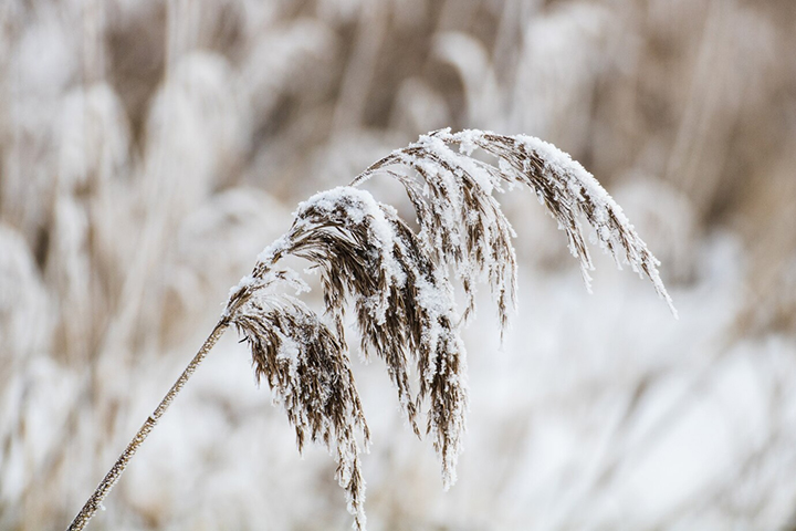 В Хакасии 12 февраля будет морозно и ветрено