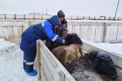 Сельское хозяйство